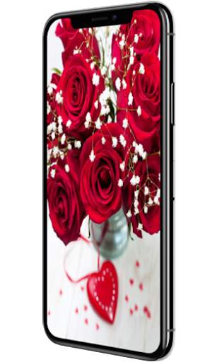 Red Rose Flower Lock Screen, Red Rose wallpapers screenshot 4