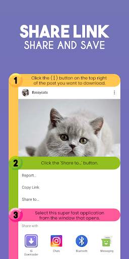 Video, Story, IGTV, Reels Downloader for Instagram screenshot 4