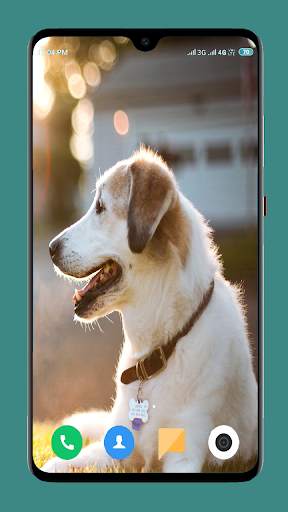 Dog Wallpaper 4K screenshot 9