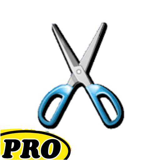 NeTcut Pro WIFI-KILL 2