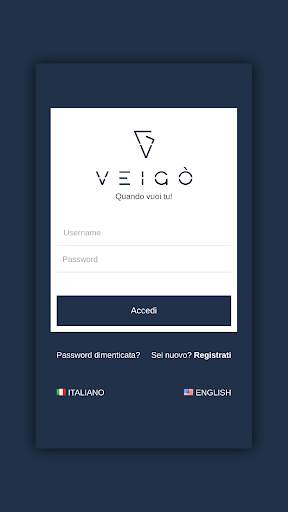 Veigo screenshot 2