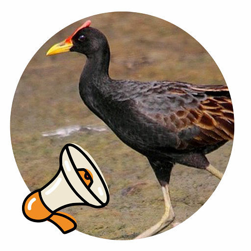 Watercock Sound icon