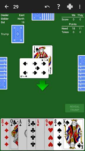 29 Card Game by NeuralPlay screenshot 1