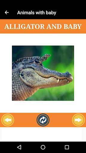Flashcard of kids to know the world screenshot 5