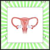 Female Infertility Information 1.0