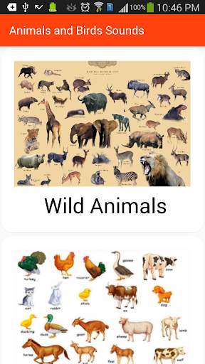 Animals and Birds Sounds screenshot 2