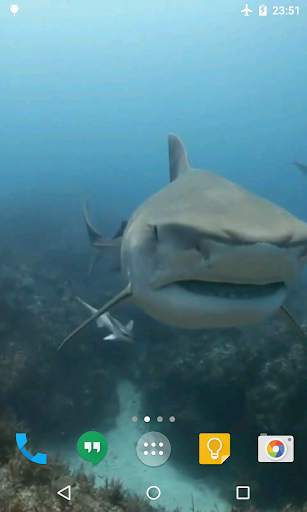 Sharks Live Wallpaper screenshot 2