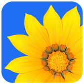 Photo Gallery icon
