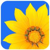 Photo Gallery v_1.06