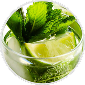 Mojito Recipes icon