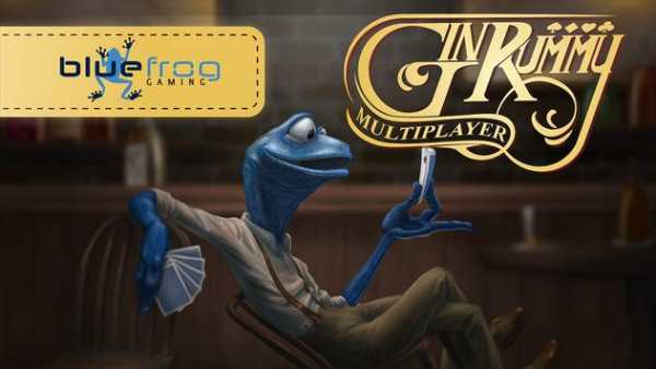 Gin screenshot 5