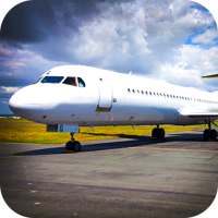 Airplane Pilot 3D