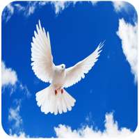 ringtones christian music logo