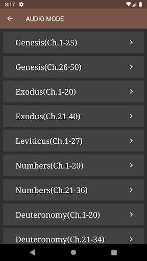 KJV Audio Bible screenshot 5
