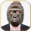 Animal Face Changer 1.4