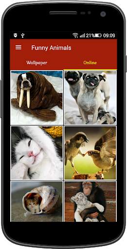 Funny Animals स्क्रीनशॉट 2