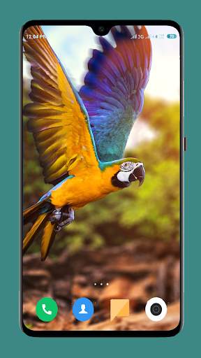 Parrot Wallpapers 4K screenshot 11