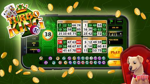 Bingo Rex screenshot 1
