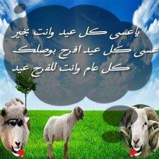 عيد الاضحى 2020 بدون نت ( معايدات و تهنئة وصور ) screenshot 15