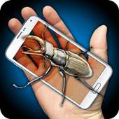 Beetle Hand Funny Joke
