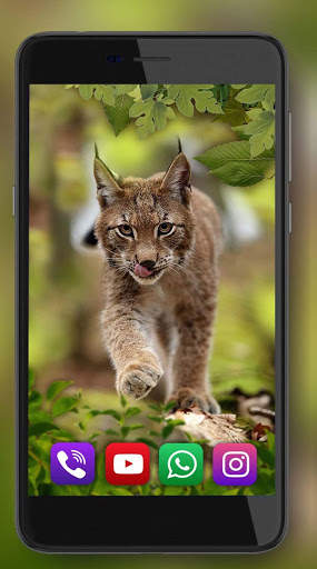 Forest Animals Live Wallpaper screenshot 4