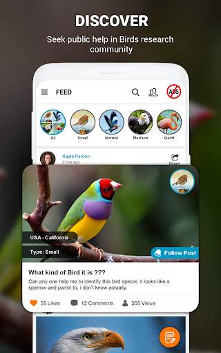Birds Identifier App by Photo, Bird ID Camera 2020 screenshot 14