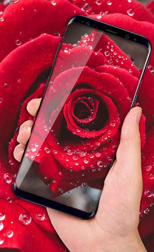 Rose Live Wallpaper 2018: HD Flower Backgrounds screenshot 2
