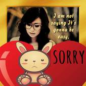 I Am Sorry Photo Frame To Make Photo Collage 1.0