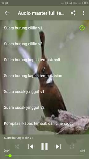 Audio Masteran Burung Tipe Nembak Kasar screenshot 6