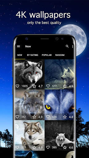 Wolf Wallpapers PRO screenshot 1