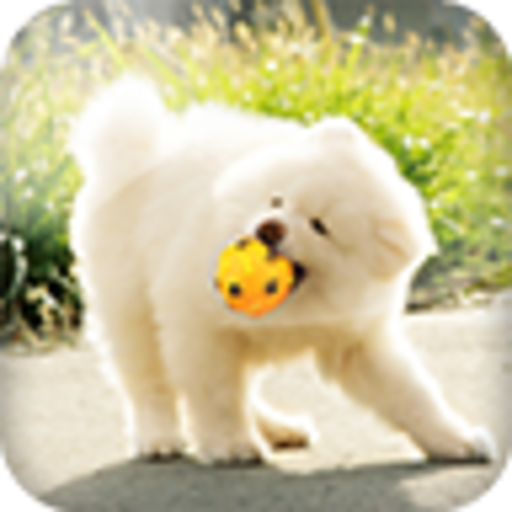 Free Dog Whistle Training Kit icon