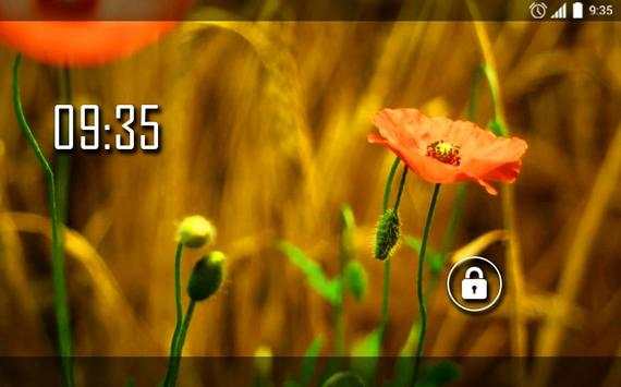 Macro Poppy Field Live WP screenshot 6