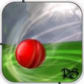 Rogue Cricket Ball 1