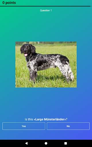 Dog Quiz: Guess the Breed — Game, Pictures, Test screenshot 15