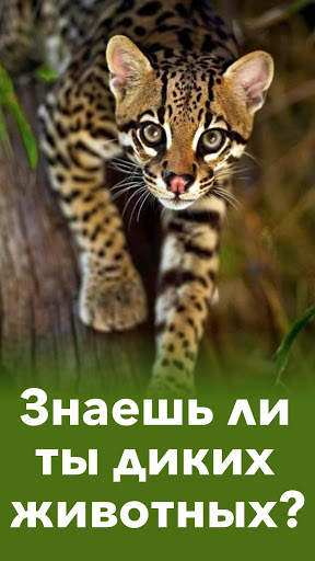 Животные - Все звери и птицы в тесте по зоологии! скриншот 1