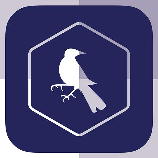 SF - Tottenham Edition 4.0.3