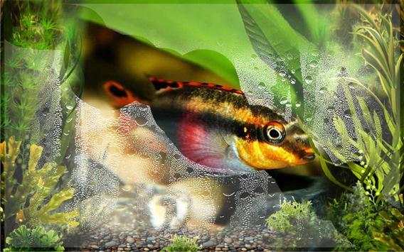 Fishes Aquarium screenshot 6