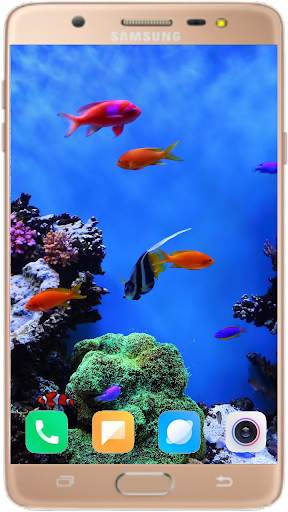 Betta Fish Wallpaper screenshot 8