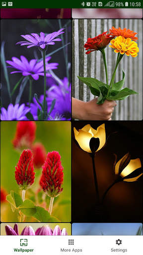 Flower Wallpaper screenshot 3