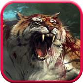 Tiger Clash 0.1