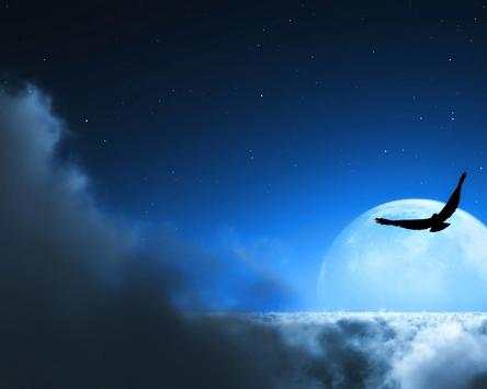 Beautiful Moon Wallpapers screenshot 5