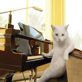 Piano - Virtual Piano 1.0