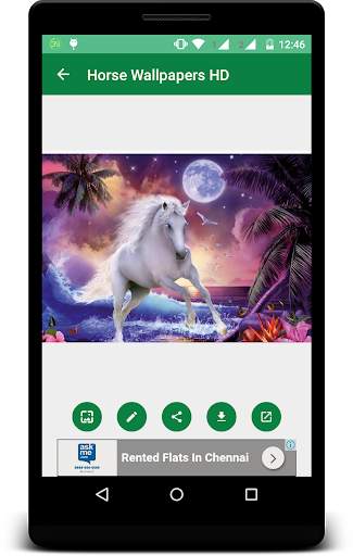 Horse Wallpapers HD screenshot 2