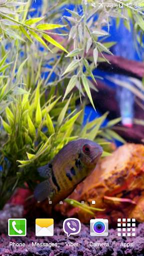 Aquarium Video Wallpaper screenshot 3