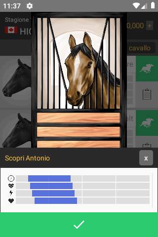 Cavallo Da corsa screenshot 2