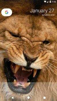 Lion Wallpapers screenshot 8