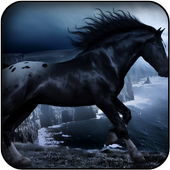 Black horse wallpapers icon