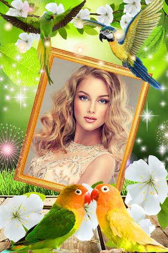 Love Bird Photo Frames screenshot 13