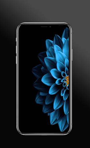 black Wallpaper - amoled darkify backgrounds स्क्रीनशॉट 3