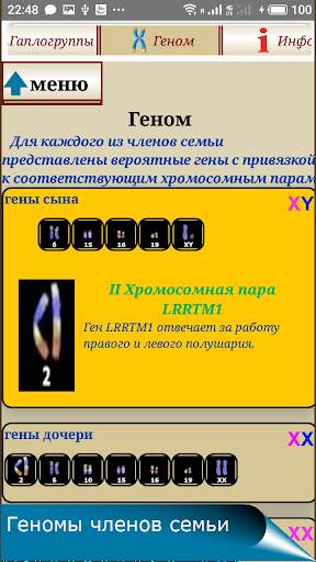 QUIS. Генетика семьи. скриншот 8